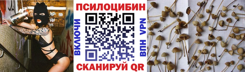 Галлюциногенные грибы прущие грибы  цена   Дятьково 