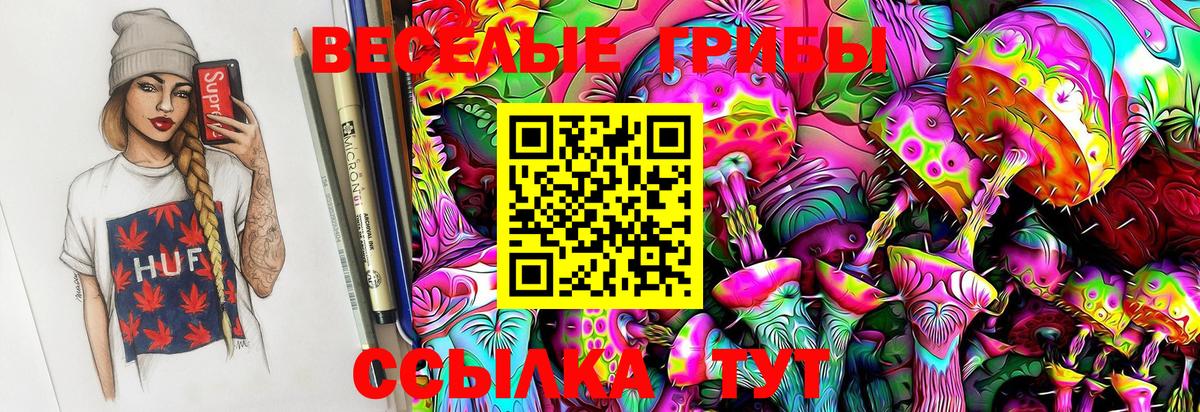Галлюциногенные грибы Magic Shrooms  Вход с VPN  Дятьково 