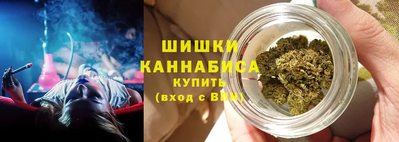 Бошки марихуана Amnesia  мориарти как зайти  Дятьково 